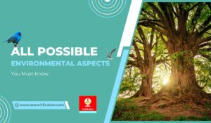 environmental aspects