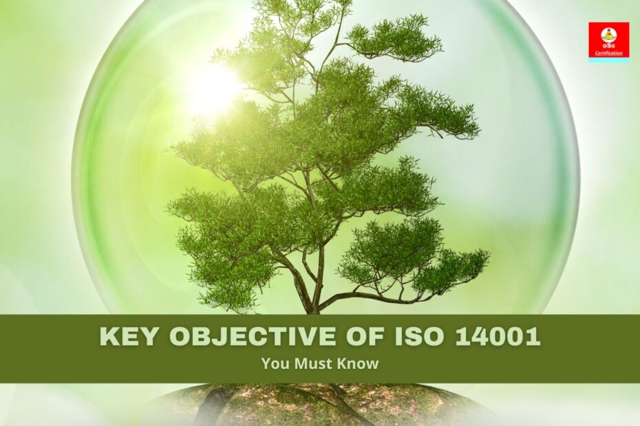 ISO 14001 Certification