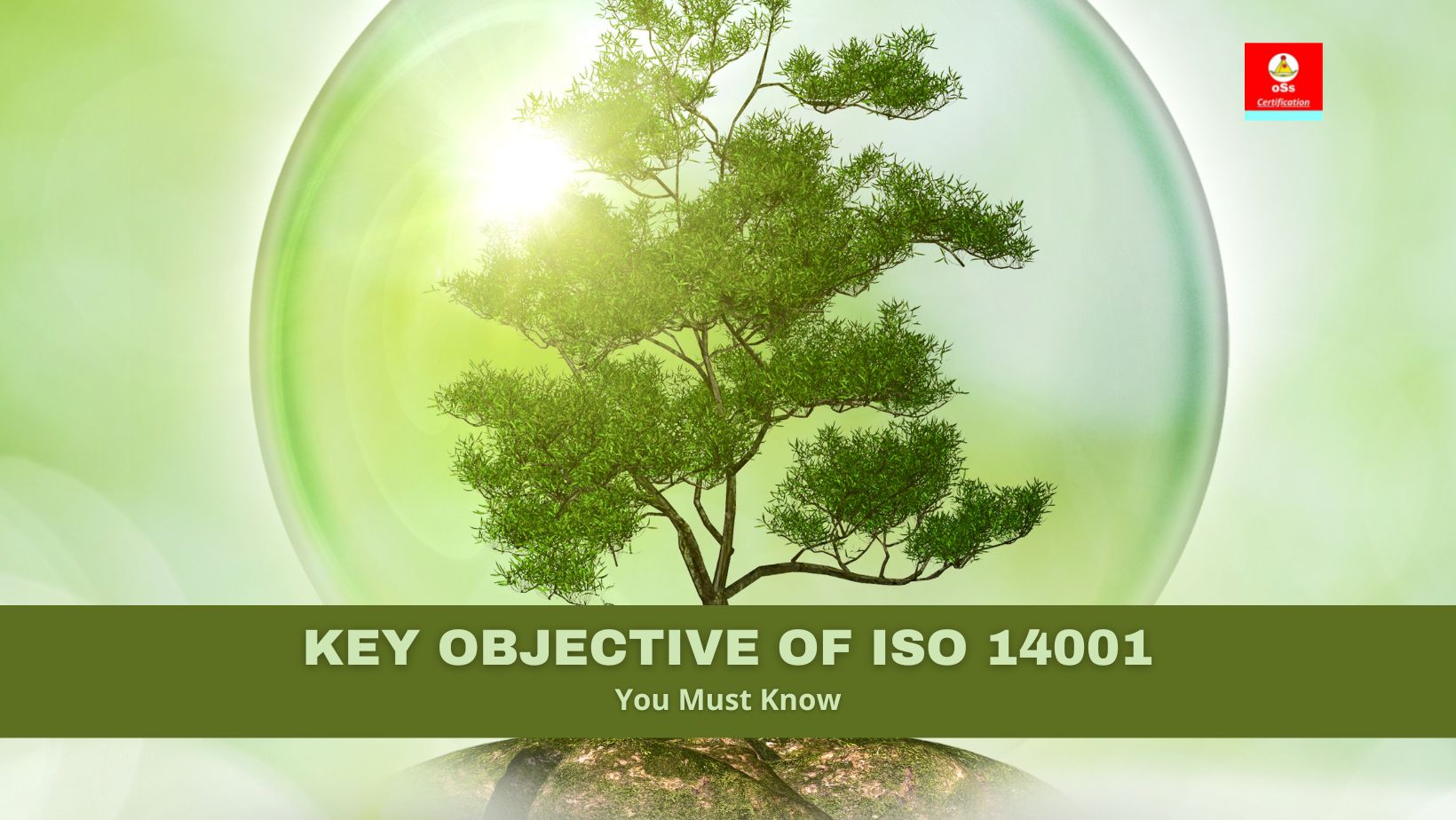 objective of iso 22000